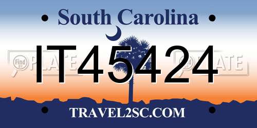 IT45424 South Carolina License Plate