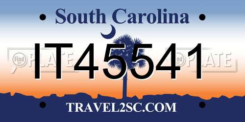IT45541 South Carolina License Plate