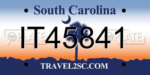 IT45841 South Carolina License Plate