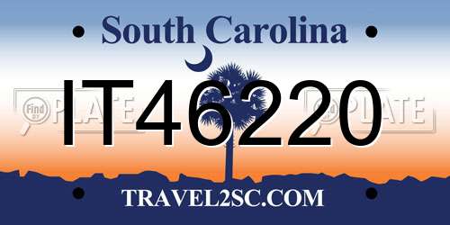 IT46220 South Carolina License Plate