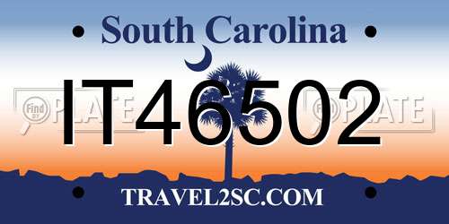 IT46502 South Carolina License Plate