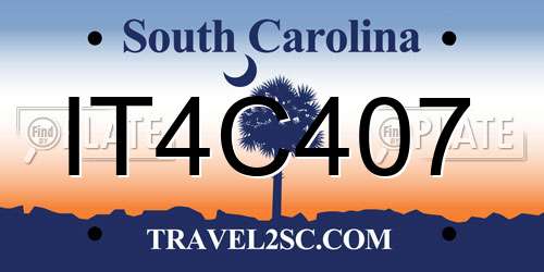 IT4C407 South Carolina License Plate