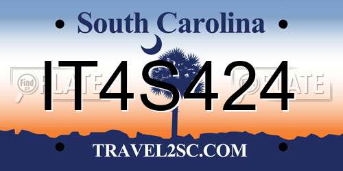 IT4S424 South Carolina License Plate