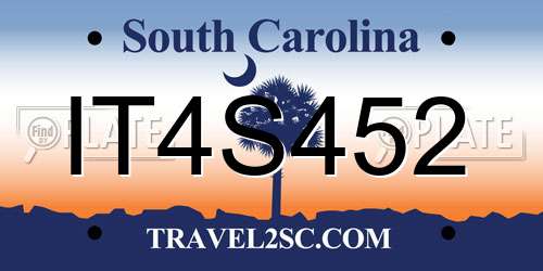 IT4S452 South Carolina License Plate