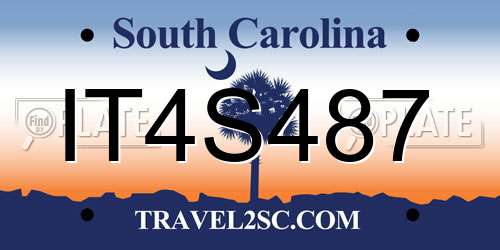 IT4S487 South Carolina License Plate