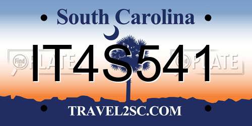 IT4S541 South Carolina License Plate