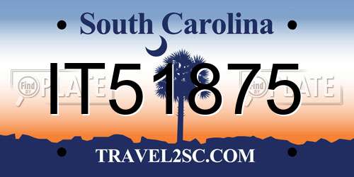 IT51875 South Carolina License Plate