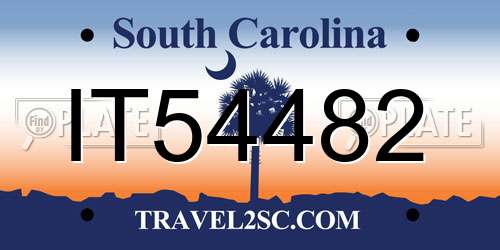 IT54482 South Carolina License Plate