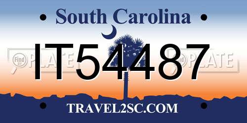 IT54487 South Carolina License Plate