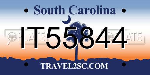 IT55844 South Carolina License Plate