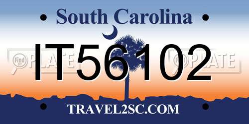 IT56102 South Carolina License Plate