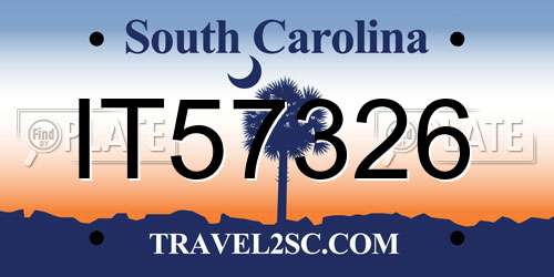 IT57326 South Carolina License Plate