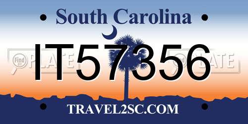 IT57356 South Carolina License Plate