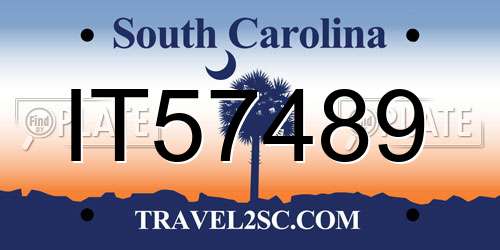 IT57489 South Carolina License Plate