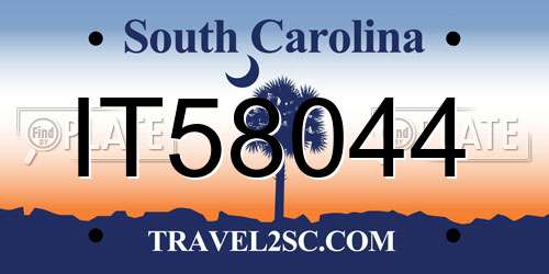 IT58044 South Carolina License Plate