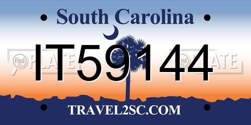 IT59144 South Carolina License Plate
