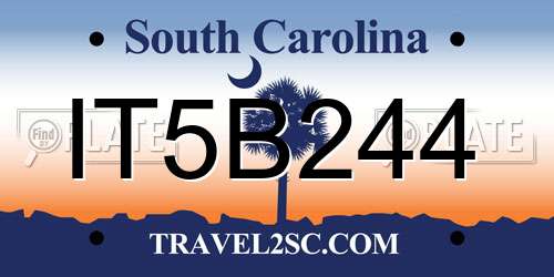 IT5B244 South Carolina License Plate