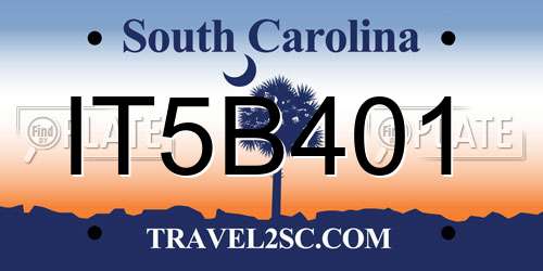 IT5B401 South Carolina License Plate