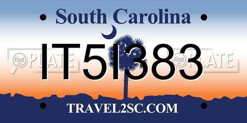 IT5I383 South Carolina License Plate