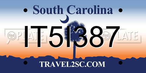 IT5I387 South Carolina License Plate