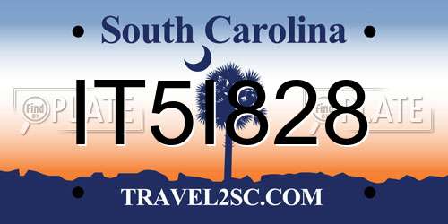 IT5I828 South Carolina License Plate