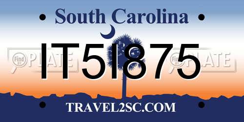 IT5I875 South Carolina License Plate