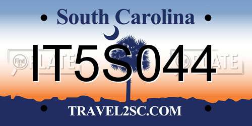 IT5S044 South Carolina License Plate