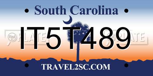 IT5T489 South Carolina License Plate