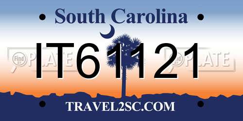 IT61121 South Carolina License Plate