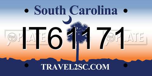 IT61171 South Carolina License Plate