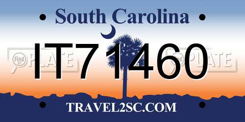 IT71460 South Carolina License Plate