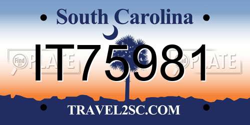 IT75981 South Carolina License Plate