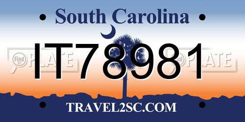 IT78981 South Carolina License Plate