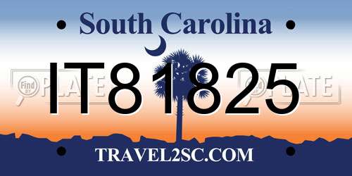 IT81825 South Carolina License Plate