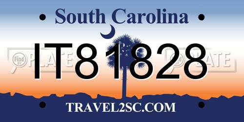 IT81828 South Carolina License Plate