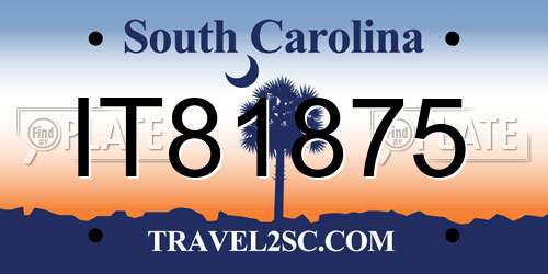 IT81875 South Carolina License Plate