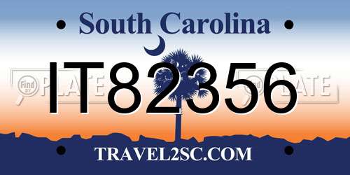 IT82356 South Carolina License Plate