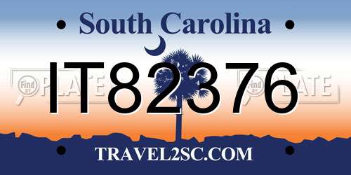 IT82376 South Carolina License Plate