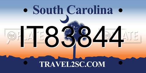IT83844 South Carolina License Plate
