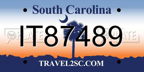 IT87489 South Carolina License Plate