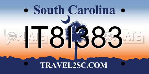IT8I383 South Carolina License Plate
