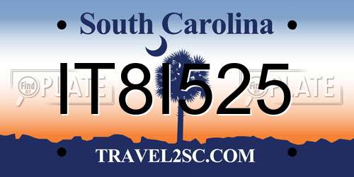 IT8I525 South Carolina License Plate
