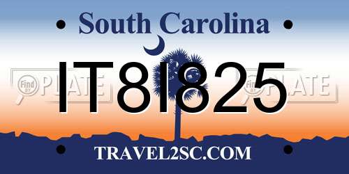 IT8I825 South Carolina License Plate
