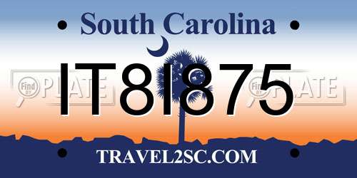 IT8I875 South Carolina License Plate