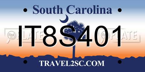 IT8S401 South Carolina License Plate