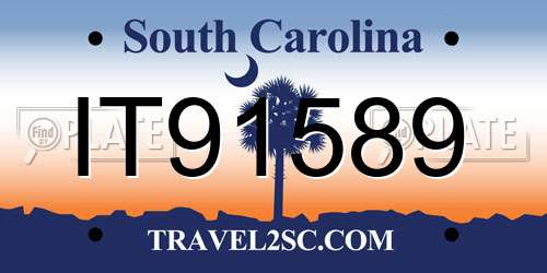 IT91589 South Carolina License Plate
