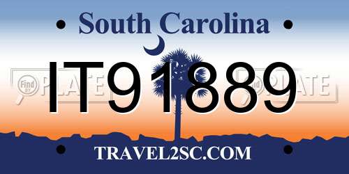 IT91889 South Carolina License Plate