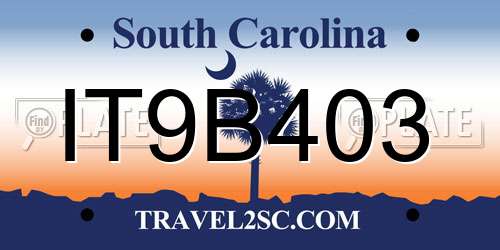 IT9B403 South Carolina License Plate