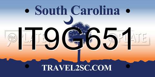 IT9G651 South Carolina License Plate
