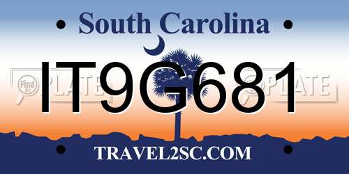 IT9G681 South Carolina License Plate